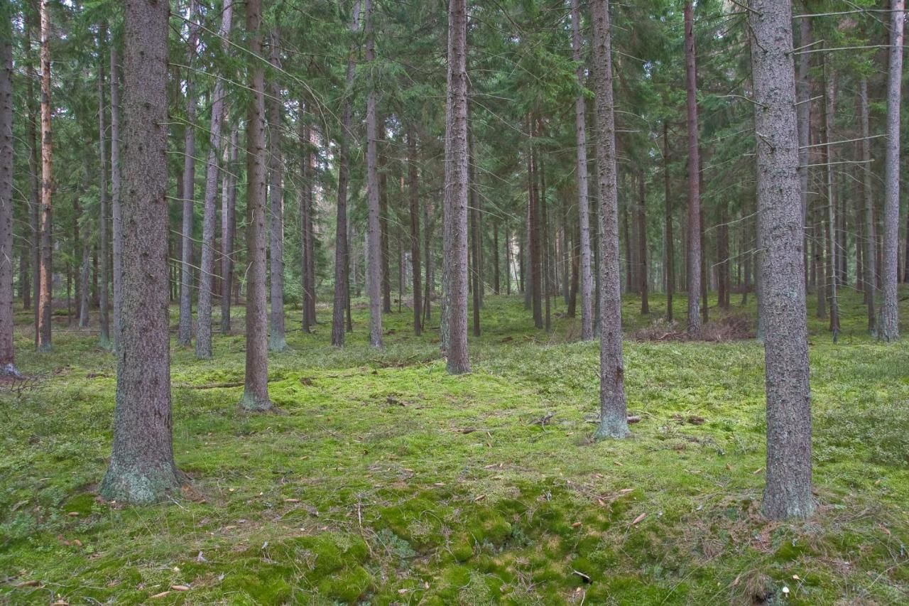 Фермерские дома Agroturystyka Sominy Sominy-23